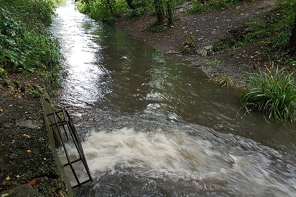 Sewage Tanks Discharging into a stream