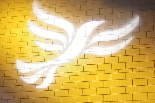 bird projected onto brick wall