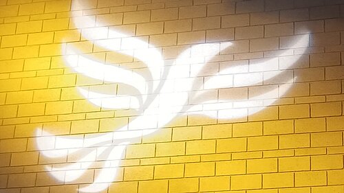 bird