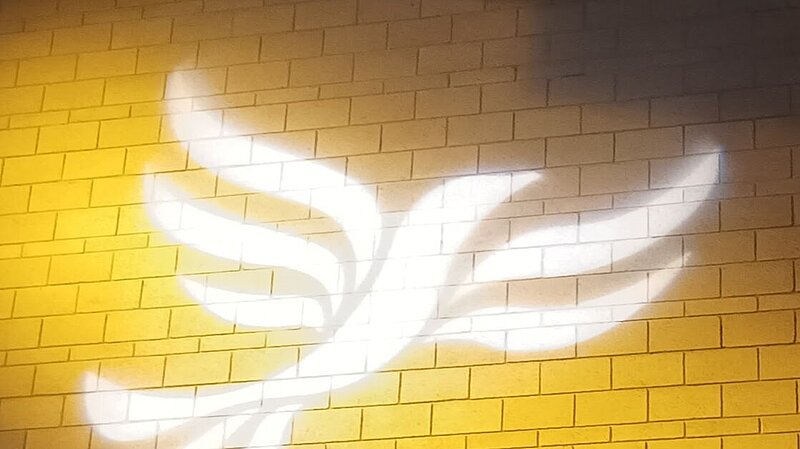 bird projected onto brick wall